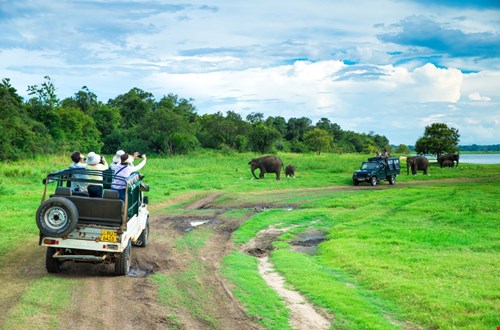 tuktukreissrilanka.nl
